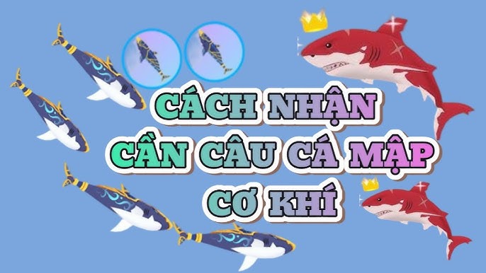 CÁ MẬP CƠ KHÍ